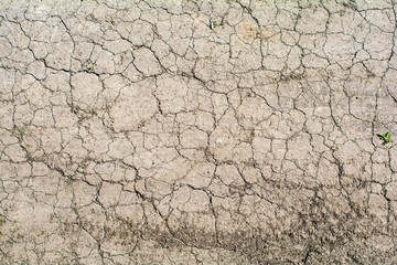 Cracked earth from the intense heat. Drought. Type of road tread.
