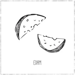 Collection of cheese. Cut sliced cheese