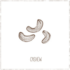 Nuts. Sketches. Hand-drawing.