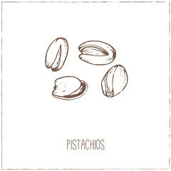 Nuts. Sketches. Hand-drawing.