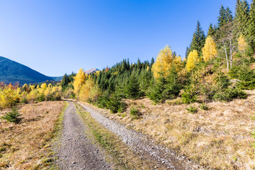 Fototapeta na wymiar autumn dirt road in mountains