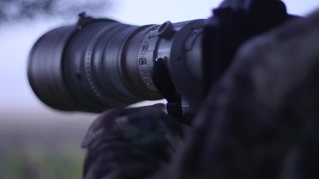 Wildlife photographer