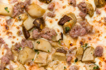 Pizza con funghi porcini e salsiccia