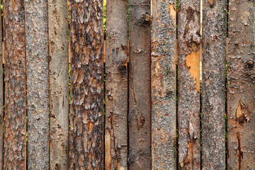 wooden bark texture..