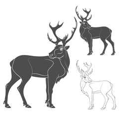 Black and white vector illustration of a deer. Isolated objects.