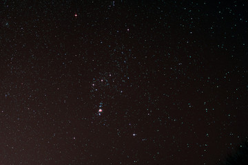 Naklejka premium Nachthimmel mit Orion und Orionnebel