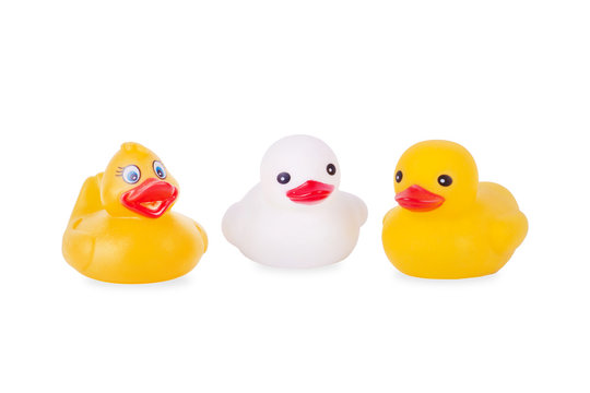rubber duck isolated