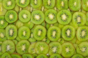 frame of kiwi