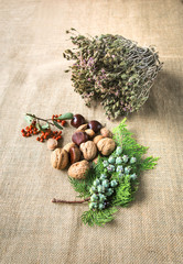 Composition of autumn fruits