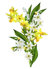Spring flowers daffodils and lilies of the valley isolated on wh © alenalihacheva