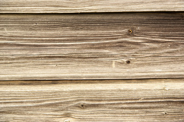 Fototapeta premium Wood texture