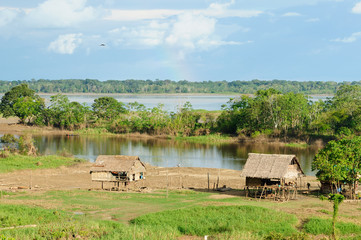 Peruvian Amazonas