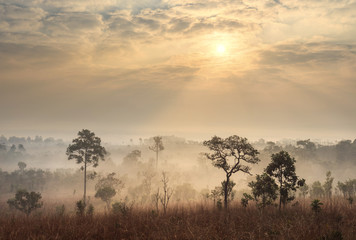 Fototapeta na wymiar Thailand savanna landscape at sunrise