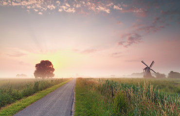 beautiful summer sunrise on Dutch farmland - obrazy, fototapety, plakaty