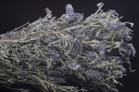 lavanta karabaş otu şifalı bitki