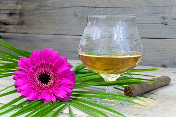 Glass of cognac with pink gerbera