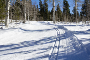 Ski trail