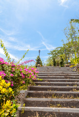 Treppe mit Blumen
