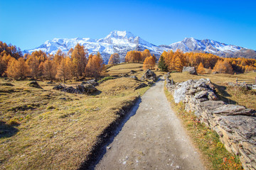 Le village du Monal 