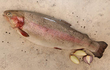 Large pink trout on the kitchen table. 