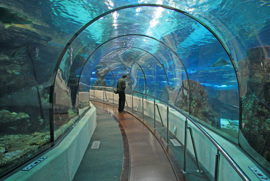 BARCELONA, CATALONIA, SPAIN - DECEMBER 14, 2011: Transparent tunnel in Barcelona Aquarium in Barcelona, Spain