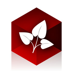 leaf red cube 3d modern design icon on white background