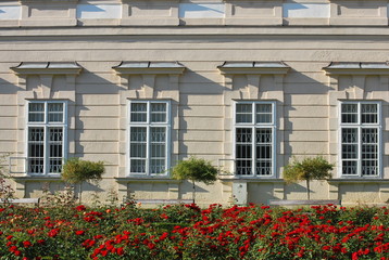 Fototapeta na wymiar Fassade mit Blumen