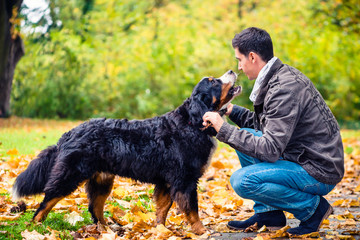 Man throwing stick for his dog to retrieve