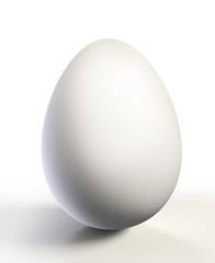 white chicken egg on white background