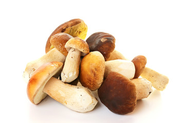 a bunch of mushrooms