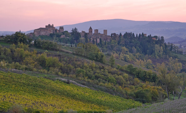 Certaldo, Tuscany view  with vinegard