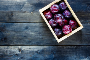 fruits