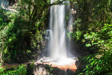 Waterfall Salto Chico at Iguacu (Iguazu) falls on a border of Brazil and Argentina