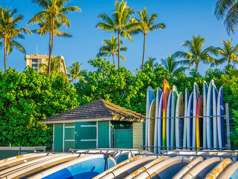 Surfboard colorful summer travel wallpaper with palm trees in Honolulu Hawaii