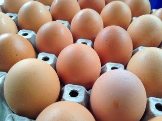 Eggs on the cardboard tray