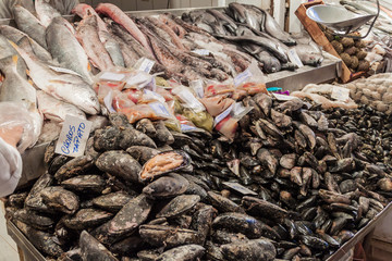 Fresh fish and seafood on Mercado Central market in the center of Santiago, Chile