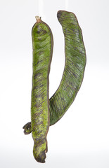 Obraz premium Guama o guaba deliciosa fruta tropical. 