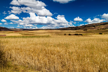Fototapeta na wymiar Cereal fields near Maras village, Sacred Valley, Peru