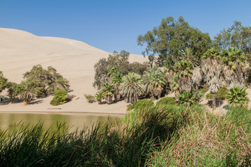 Desert oasis Huacachina near Ica, Peru