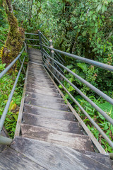 Obraz premium Stairs on a hiking trail to Machay waterfall near Banos, Ecuador