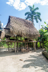 Fototapeta na wymiar Traditional house in peruvian jungle