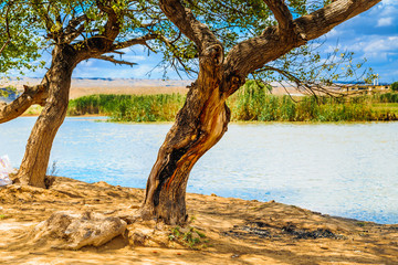 Iraqi countryside in spring season 