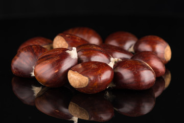 Chestnuts on a black reflective background