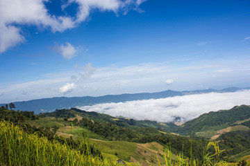 Sea of mist and sunrise at Phoocheefha,chiangrai, Thailand