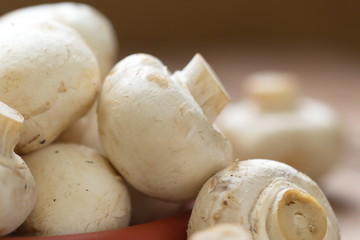 Raw White Mushrooms