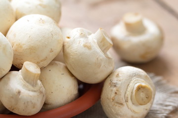 Raw White Mushrooms