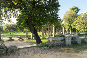 Olympia