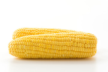 fresh corn