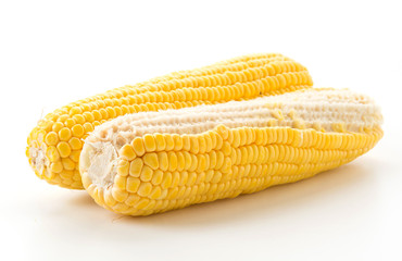 fresh corn
