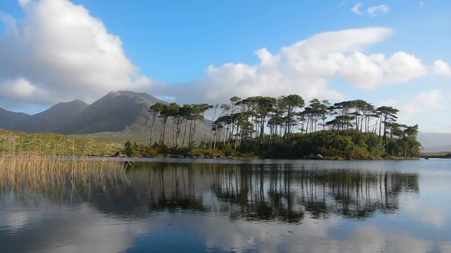 Pine Island, Connemara National Park, Ireland